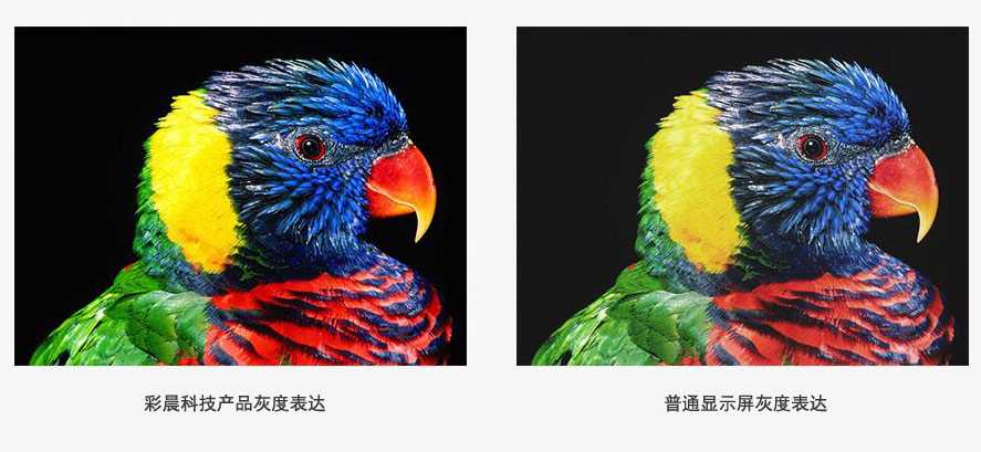 小间距led灰度表达